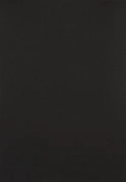 Anna Field 2 PACK - Langarmshirt - Black/mottled Grey -Anna Field 0dc508e6fbe54431b34a612a85aedc7a